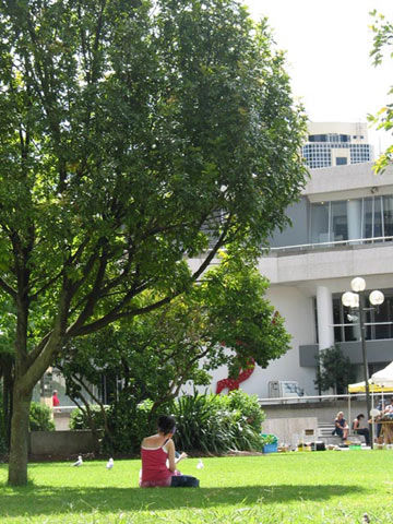 Town Hall, Окленд, Новая Зеландия (Town Hall, Auckland, New Zealand)