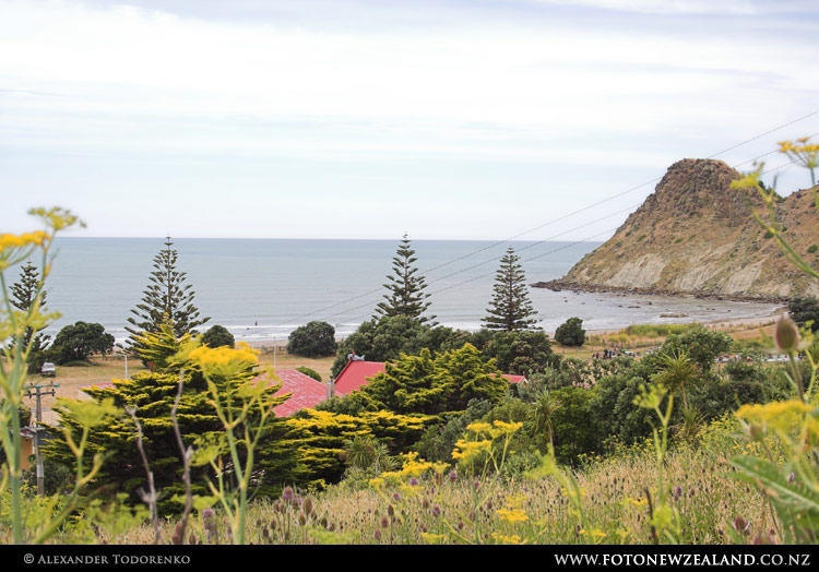Whangara, East Coast, Новая Зеландия (East Coast, New Zealand)