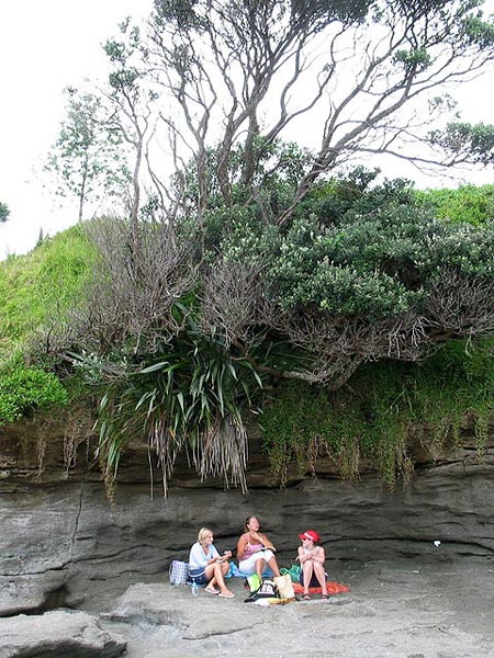 Окленд, Новая Зеландия (Auckland, New Zealand)