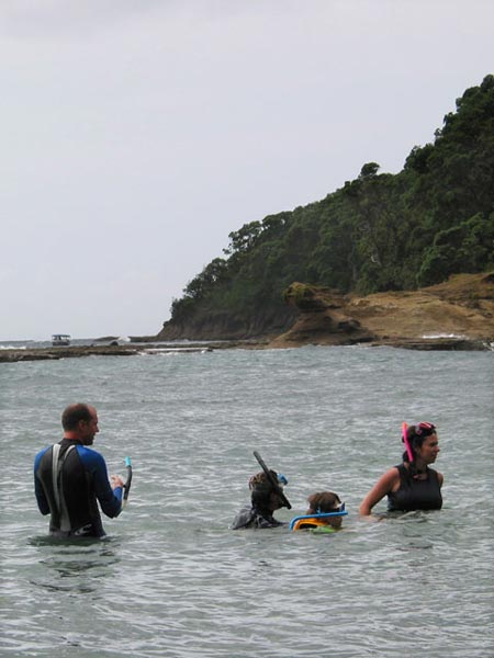 Окленд, Новая Зеландия (Auckland, New Zealand)