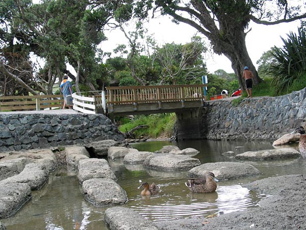 Окленд, Новая Зеландия (Auckland, New Zealand)