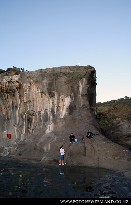 Окленд, Новая Зеландия (Auckland, New Zealand)