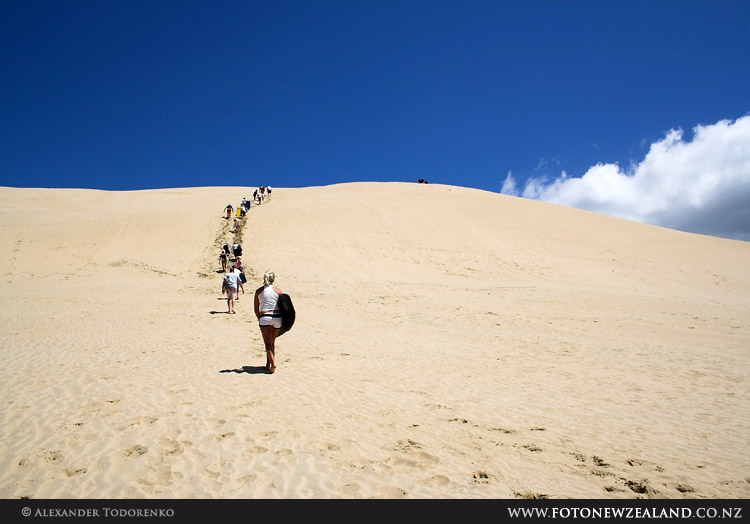 Гигантские песчаные дюны, 90 Mile Beach, Новая Зеландия (90 Mile Beach, New Zealand)