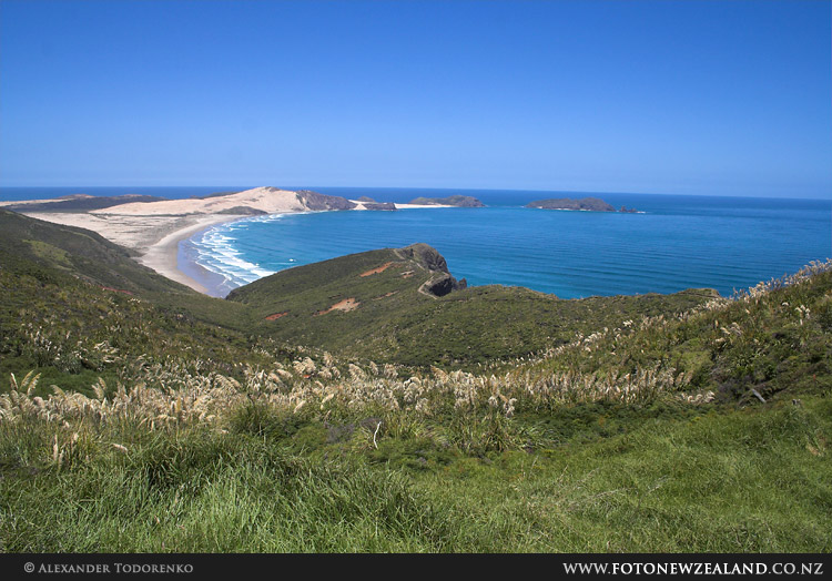 Cape Reinga. Вид слева, Cape Reinga, Новая Зеландия (Cape Reinga, New Zealand)