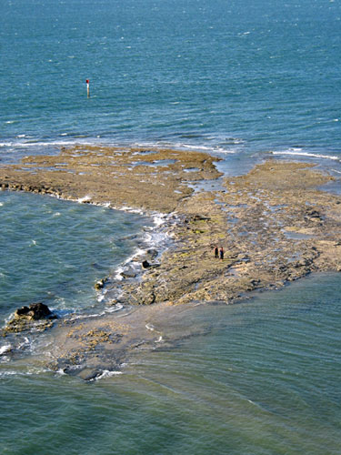 Потерпевшие кораблекрушение, Ladies Bay, Auckland, New Zealand