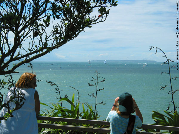 Регату America's Cup можно было наблюдать с берега, J.F.Kennedy Park, Auckland, New Zealand