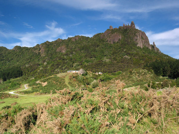 Manaia Peak. По дороге на Ocean Beach, Whangarei, New Zealand