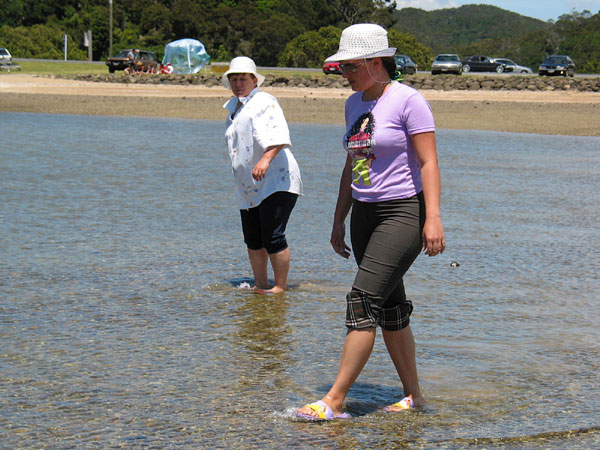 В поисках съедобных ракушек, Paihia, New Zealand