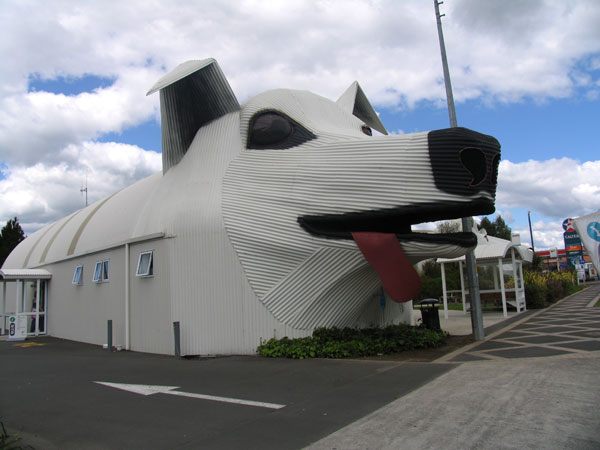 Приметная собачка на пути из Окленда в Роторуа, On the way from Auckland to Rotorua, New Zealand