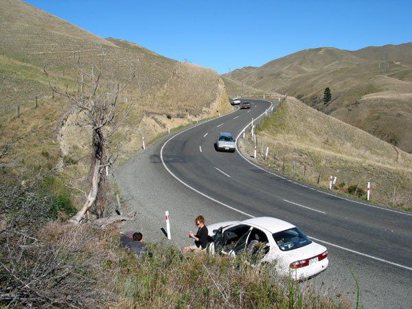 Пикник у обочины, Somewhere not too far from Blenheim, New Zealand