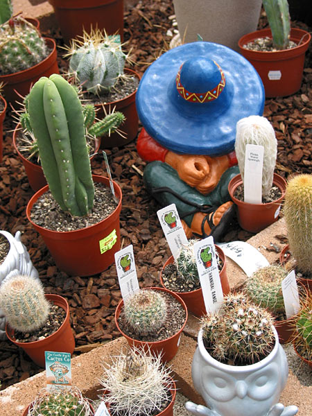 Silverdale, Окленд, Новая Зеландия (Silverdale, Auckland, New Zealand)