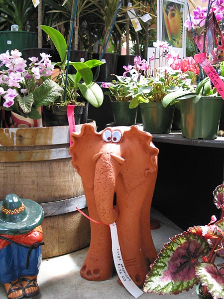 Silverdale, Окленд, Новая Зеландия (Silverdale, Auckland, New Zealand)