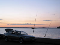 Auckland Harbour