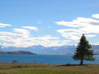 Lake Tekapo, South Island
